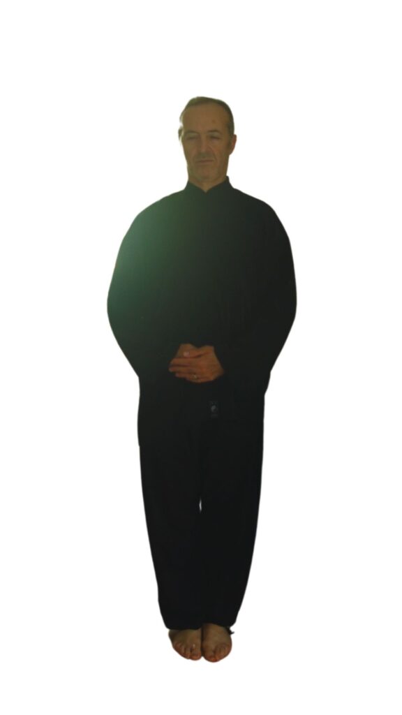 Qi Gong postural TaiJiZhuan 